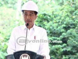 Groundbreaking Kodim IKN, Presiden Jokowi Minta Pembangunan tak Banyak Tebang Pohon