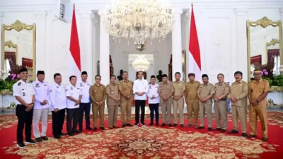 Papdesi Bahas Revisi UU Desa Bersama Presiden Jokowi