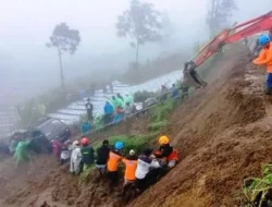 Jalur Wisata Solo-Selo-Borobudur Longsor ,Dua Mobil Terperosok Ke Ladang