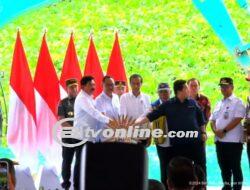 Presiden Jokowi Groundbreaking Kantor Otorita IKN, Dilengkapi Layanan Satu Pintu