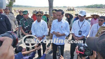 Presiden Jokowi Serahkan Bantuan ke Petani Gagal Panen Senilai Rp 123 – 200 Juta