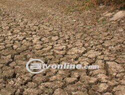 Seluas 1.500 Hektare Sawah di Batu Bara Sumut Alami Kekeringan