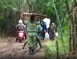 Jalan Rusak di Kabupaten Sikka, Petugas Terpaksa Pikul Logistik Pemilu Sejauh 8 Km