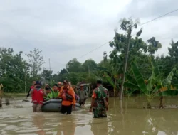 Banjir Melanda 11 Kecamatan di Grobogan Jateng, Ketinggian Air Capai 1 Meter