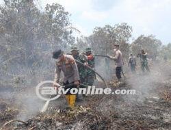 Kebakaran Lahan dan Hutan Selama 7 Hari di Bengkalis, Petugas Terus Berjibaku Memadamkan Api