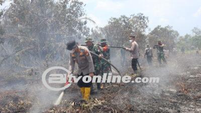 Kebakaran Lahan dan Hutan Selama 7 Hari di Bengkalis, Petugas Terus Berjibaku Memadamkan Api