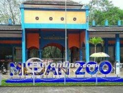 Medan Zoo Terus Menuai Sorotan, Komisi IV DPRD Medan Minta Penurunan Jabatan Direksi PUD Pembangunan