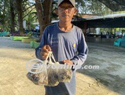 Pulang Malu Tak Pulang Rindu, Kisah Budi, Nelayan Yang Mencari Rejeki di Ujung Ufuk