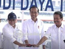 Potensi Tambak Ikan Nila, Mimpi Besar Jokowi Untuk Membuka Lapangan Kerja