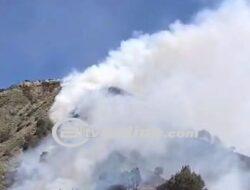 Lahan di Gunung Batok Terbakar, Api Terlihat Jelas dari Savana Bromo