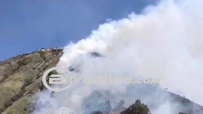 Lahan di Gunung Batok Terbakar, Api Terlihat Jelas dari Savana Bromo