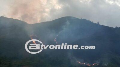 Bukit di Danau Toba Sumut Hangus Terbakar