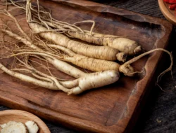 Ginseng dan Potensinya dalam Melawan Virus Cacar Monyet?