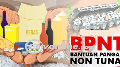 Langkah Mudah dan Cepat Mengecek Status Penerimaan BPNT Agustus 2024