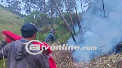 Kawasan Bukit Kedaluh Gunung Bromo Terbakar