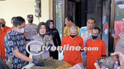 Pengungkapan Ladang Ganja 3 Hektare di Aceh: Jaringan Yogya-Medan-Aceh Terungkap