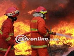 Kebakaran Landa Kandang Kambing di Srengseng, 37 Ekor Mati Terbakar