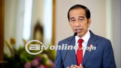 Presiden  Jokowi Ceritakan Pengalaman Pertama di Bandara IKN Nusantara